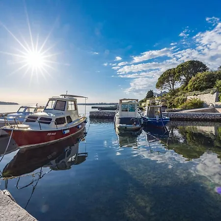 Sea View In Barbat *